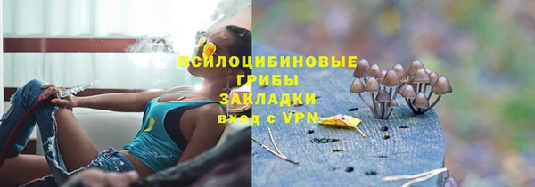 гидра Абдулино