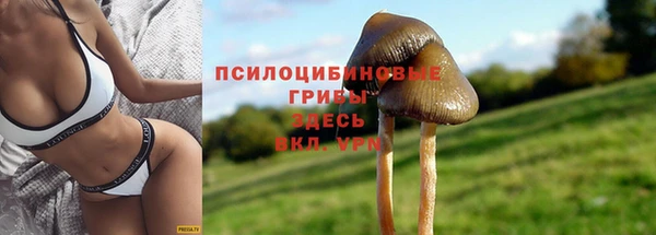 МДМА Россошь