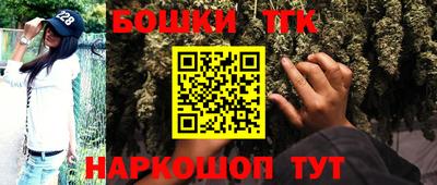 тгк Партизанск