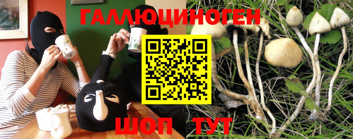 Псилоцибиновые грибы Magic Shrooms Людиново
